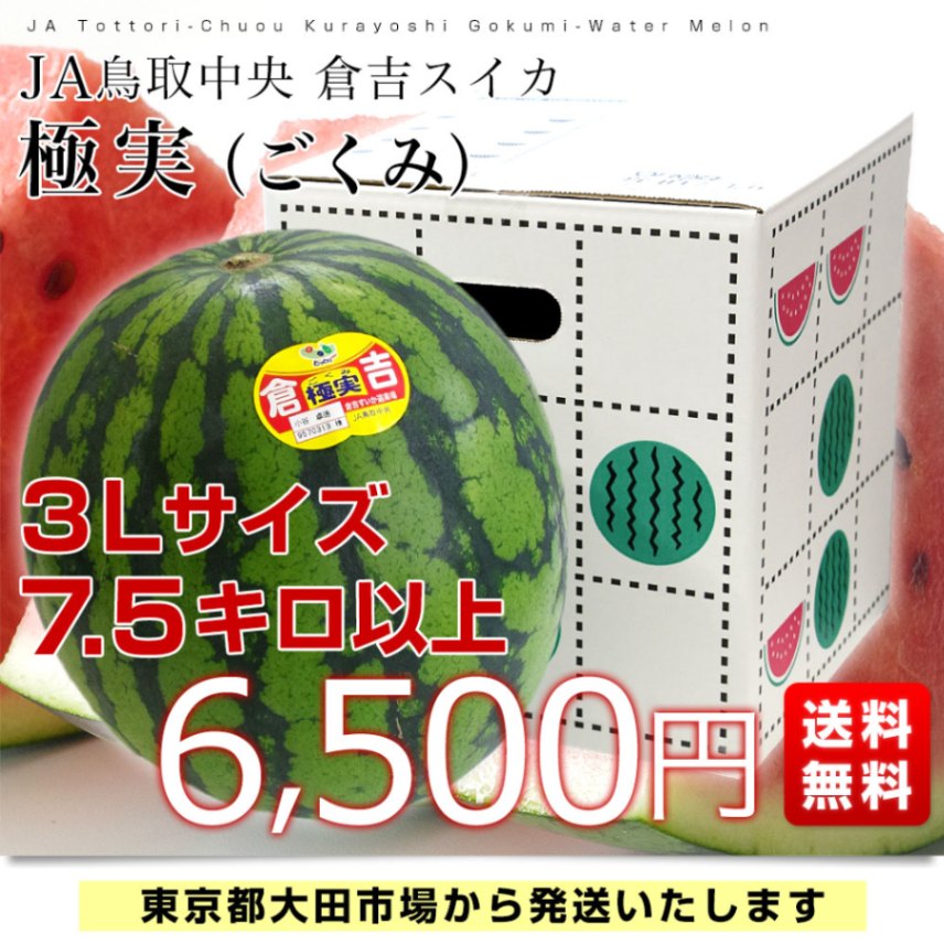 鳥取県産 JA鳥取中央倉吉スイカ 極実（ごくみ） 秀品 3L以上の大玉