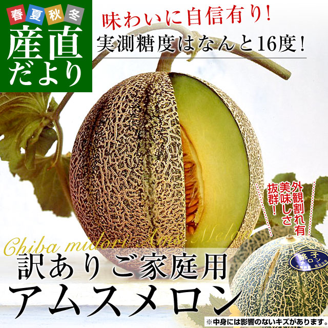 千葉県産 JAちばみどり アムスメロン 訳あり 5キロ （4玉から6玉