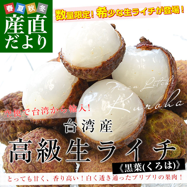 ѻ  饤 ֹաʤϡˡ800g400g2 ̵ ȥԥե롼 
