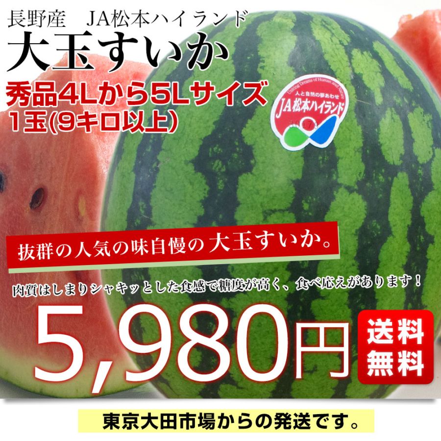 長野県産　松本ハイランド　1玉　4Ｌ　9〜10kg　クール便発送 長野県産 JA松本ハイランド 大玉スイカ 秀品 4Lから5Lサイズ 9