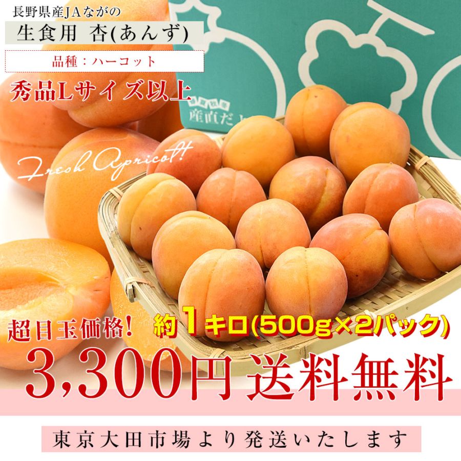 長野県産 JAながの 生食用「杏(あんず)」(品種：ハーコット) 秀品 L