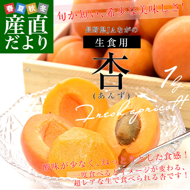 長野県産 JAながの 生食用「杏(あんず)」(品種：ハーコット) 秀