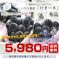 福岡八女産　種なしピオーネ　12房 福岡八女産 種なしピオーネ 12房 福岡県 JAふくおか八女