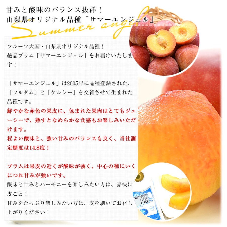 すももさま専用 のさま専用 Dさま専用 友さま専用 ☆【moumouさま専用