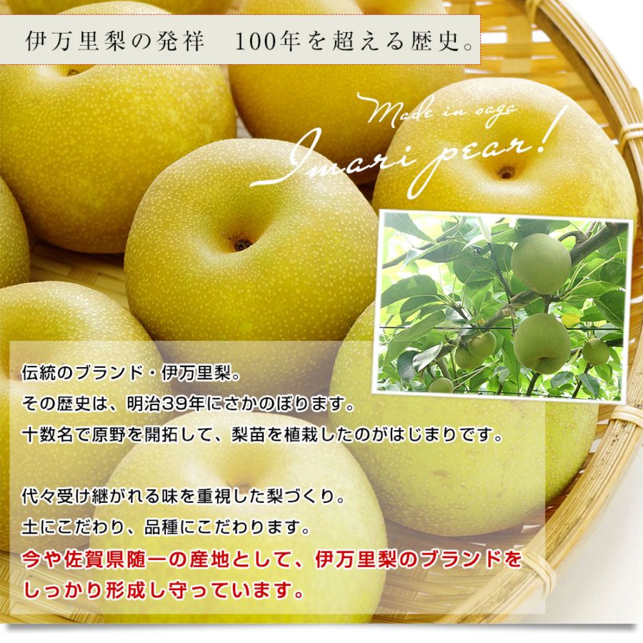 佐賀県産 JA伊万里 伊万里梨（幸水）約2キロ (大玉6玉）送料無料 梨