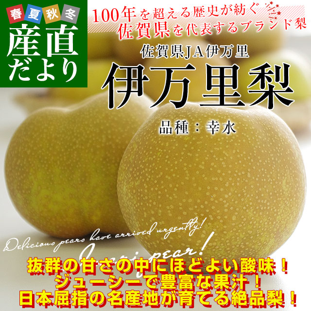 佐賀県産 JA伊万里 伊万里梨（幸水）約2キロ (大玉6玉）送料無料 梨