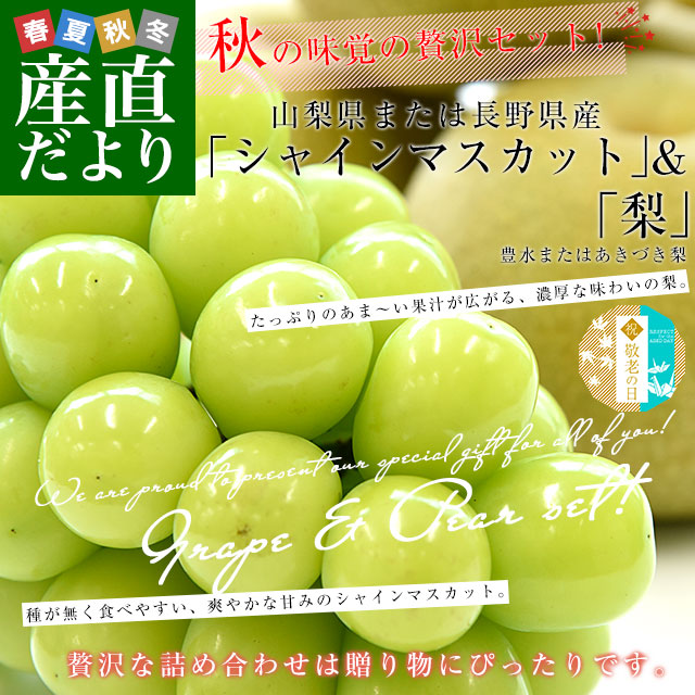 遅れてごめんね敬老の日ギフト】山梨県または長野県産「シャイン