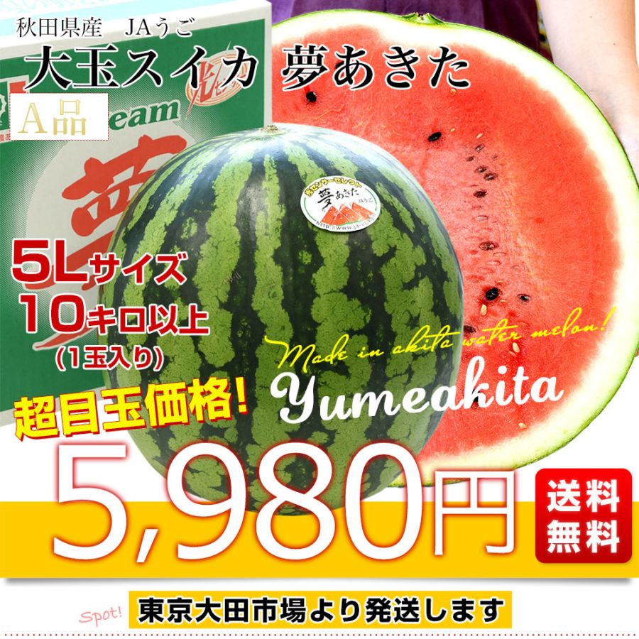 478千葉県産まるあさ大玉スイカ秀品5Lサイズ1箱2玉入り 000000002295_1_KugxZI0.jpg