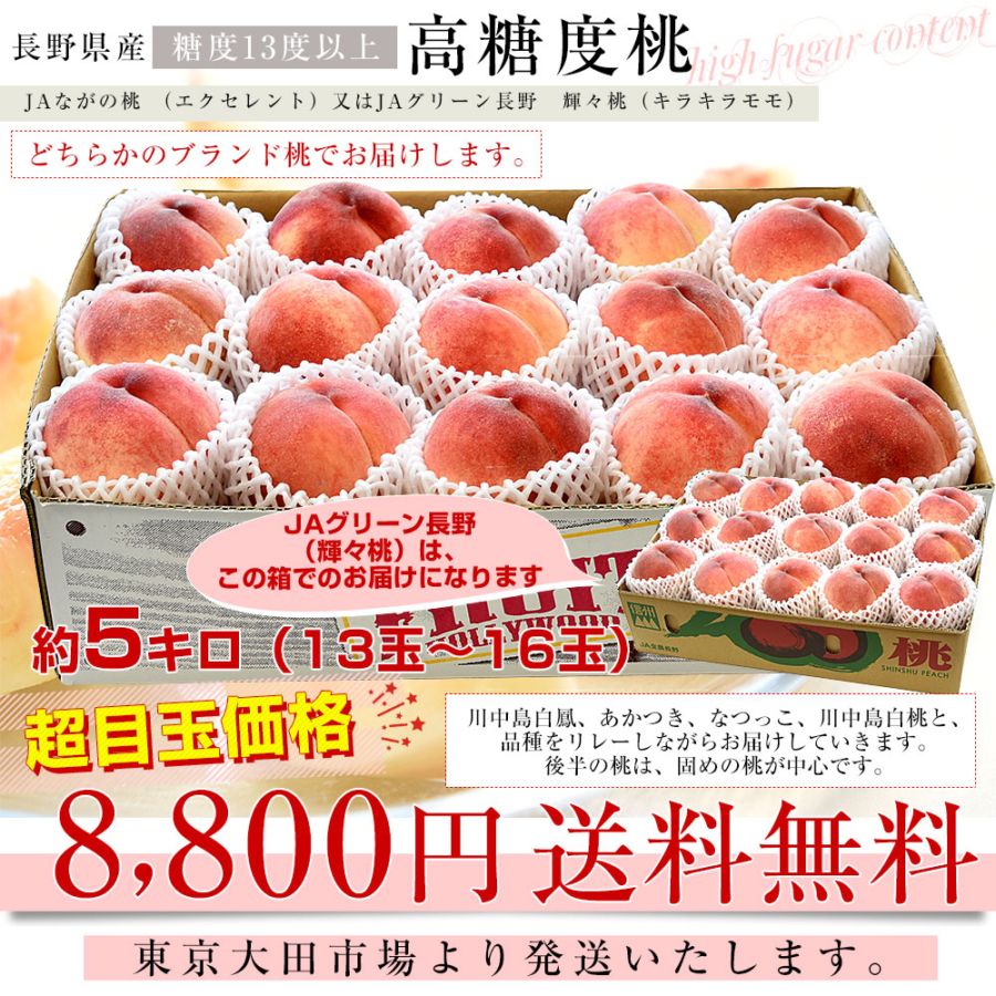 長野県 高糖度桃 約5キロ（13玉から16玉）※JAながの（エクセレント