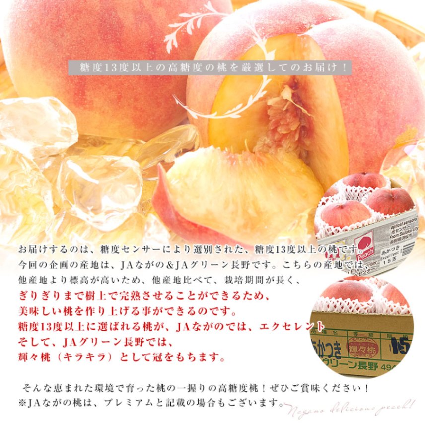 長野県 高糖度桃 約5キロ（15玉から16玉）※JAながの（エクセレント