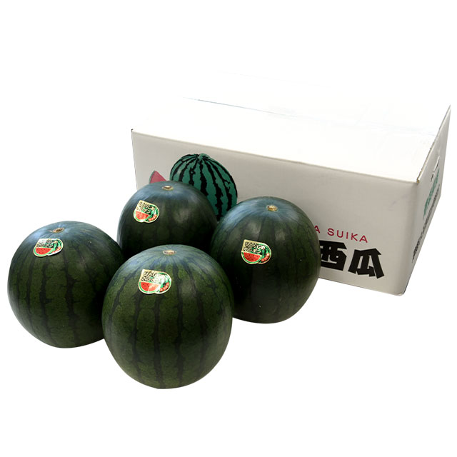 青森県産 黒小玉スイカ ひとりじめボンボン 秀品 約8キロ（2