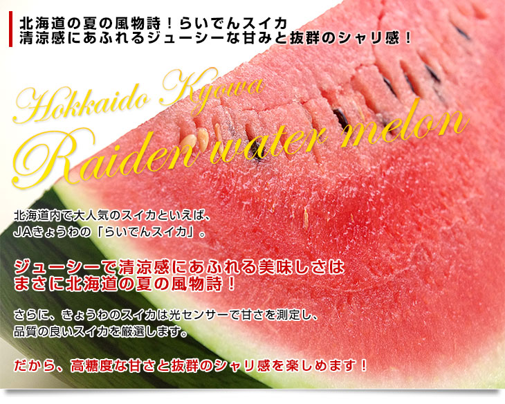 いすいす 北海道産 JAきょうわ らいでんスイカ 秀品 2Lサイズ （6キロ×2玉入り