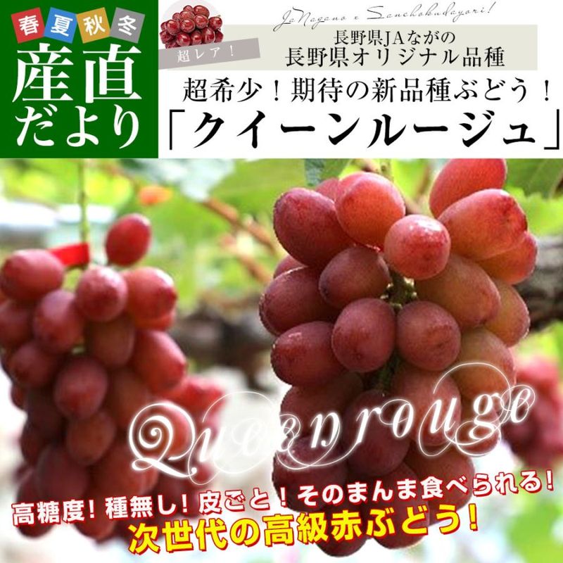 Ĺ� JA�ʤ��� ��������롼���� ��1����(2˼) ����̵��  �֥ɥ� ��ƺ 