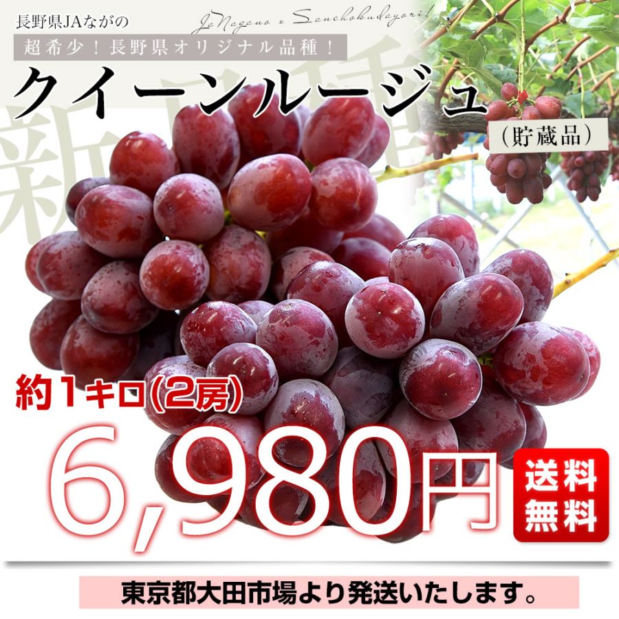 長野県 JAながの 新品種ぶどう クイーンルージュ (貯蔵品) 約1キロ(2房