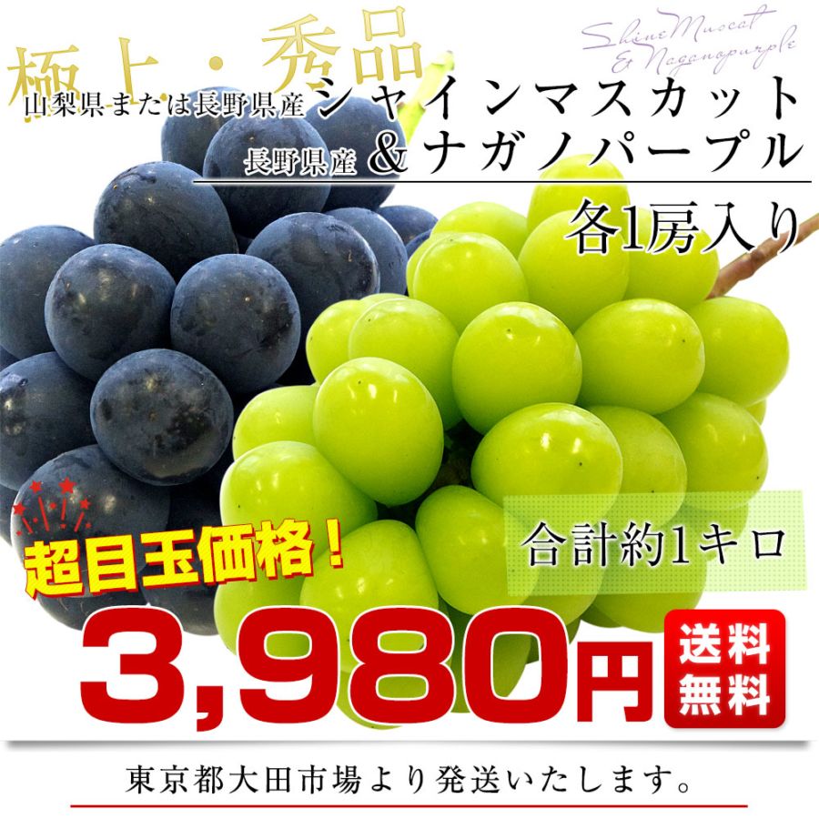 紫陽花　長野シャインマスカット約4.5kg シャインマスカット” 秀品 5〜10房 約4kg 産地厳選【予約 8月