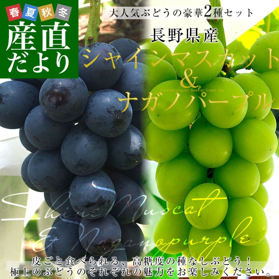 長野県産 シャインマスカット（秀品）＆ ナガノパープル（秀品） 各1房