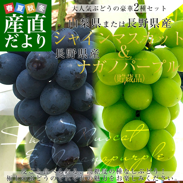 山梨・長野県産 シャインマスカット＆ ナガノパープル 各1房 合計約1