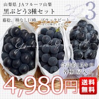 山梨3種詰合せセット　（もも、プラム、ぶどう）約3ｋｇ grape-3-15k.jpg