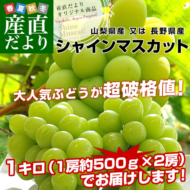   Ĺ 㥤ޥå 12˼̵ ֤ɤ ֥ɥ ʤ֤ɤ ƺ 