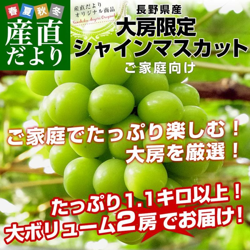 長野県産シャインマスカット たっぷり1.1キロ以上（大房2房）送料無料