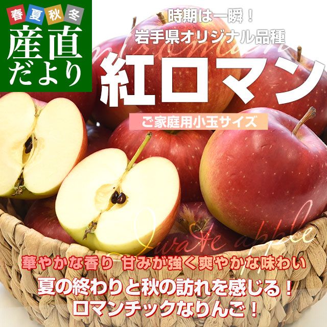 岩手県産　丸カゴ　特大サイズ 岩手県産 丸カゴ 特大サイズ 買物籠 大 短手 | 商品一覧 |