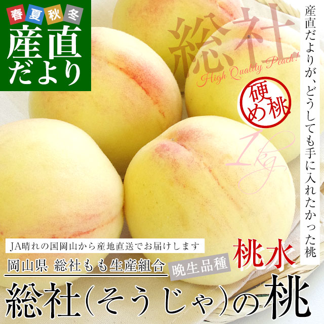 岡山県から産地直送 JA晴れの国岡山 総社もも生産組合 総社(そうじゃ