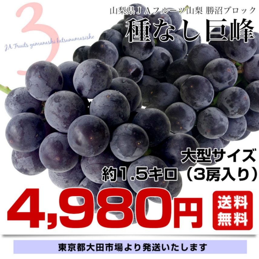 【訳あり】山梨県　勝沼産 種無し巨峰 5kg 山梨県勝沼産訳あり 種無し 巨峰 1キロ 粒のみ 8月上旬発送用