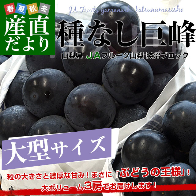 山梨県産 JAフルーツ山梨 勝沼ブロック 種なし巨峰 約1.5キロ (3房入り