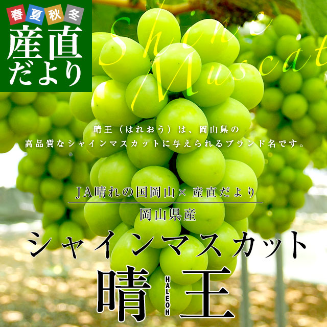 岡山県産 JA晴れの国岡山 シャインマスカット 晴王 青秀 約1.2