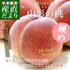 ���������黺��ľ�� JA�Ƥ�ɤ� �������� ���� (�ʼ�椦���顦�̤�������������¾) ��3���� (8�̤���12��) ����̵�� �� ��� ���