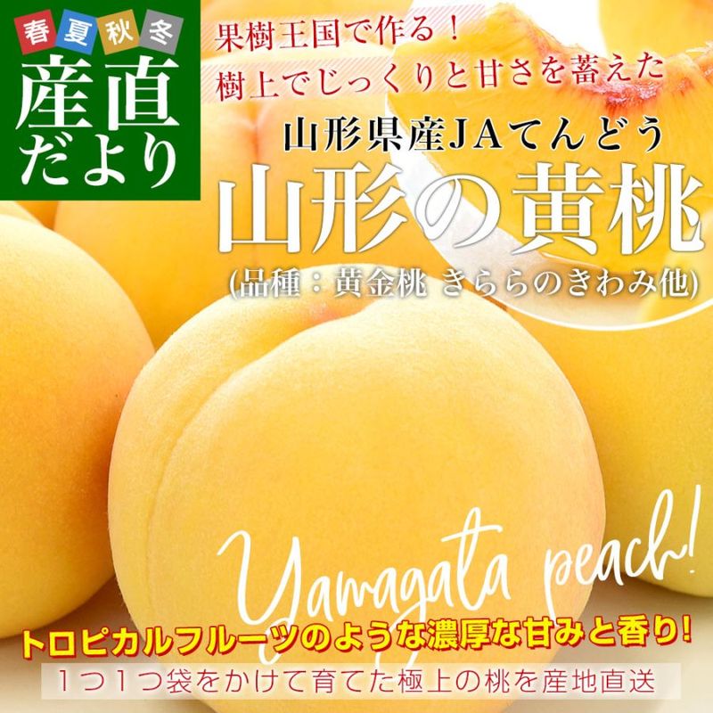 ���������黺��ľ�� JA�Ƥ�ɤ� �����β��� (�ʼ������ �����Τ����¾) ���� ��3���� (8�̤���12��) ����̵�� �� ��� ���