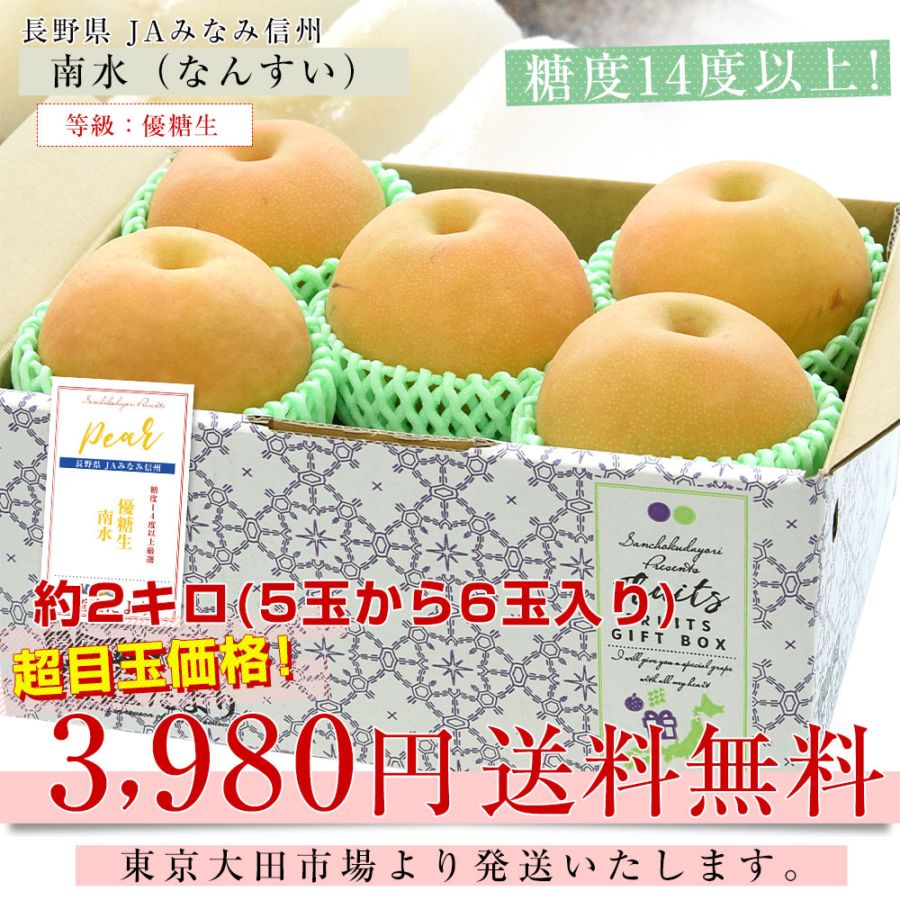 南水 長野県みなみ信州まつかわ町産地直送 JAみなみ信州 太鼓判 梨