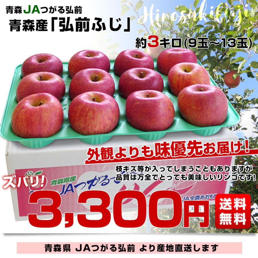 青森県より産地直送 JAつがる弘前 弘前ふじ 約3キロ (9玉から13玉