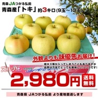 青森県より産地直送 JAつがる弘前 トキ 約3キロ (9玉から13玉) 送料