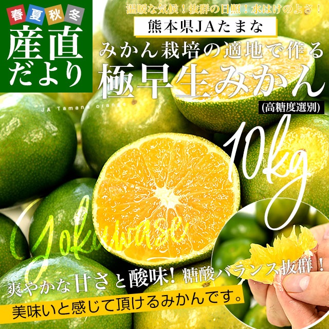 熊本県産極早生みかん20kg 熊本県 産地直送！甘くて程よい酸味の『極早生みかん』 5㎏＝今