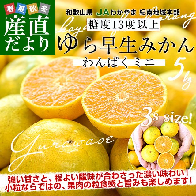 和歌山県 JAわかやま 紀南地域本部 糖度13度以上厳選みかん 超小粒