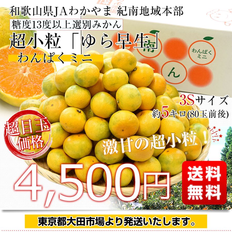 和歌山県 JAわかやま 紀南地域本部 糖度13度以上厳選みかん 超小粒