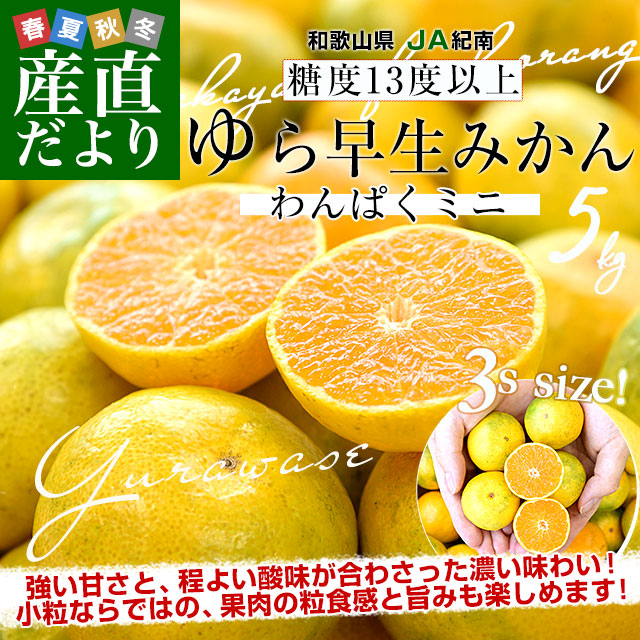 和歌山県 JA紀南 糖度13度以上厳選みかん 超小粒「ゆら早生」3S