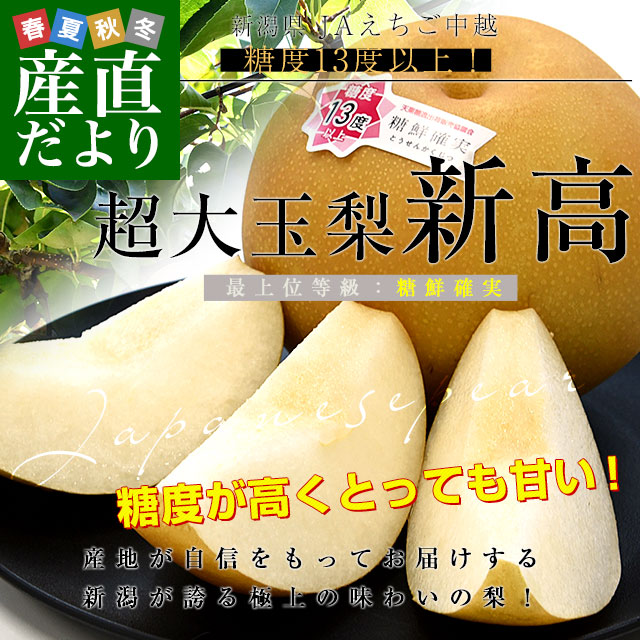 2026.3.21百鬼避行無病息災　新潟産彩玉 新潟県産 JAえちご中越 糖度13度以上 超大玉梨 新高 「最上位等級：糖