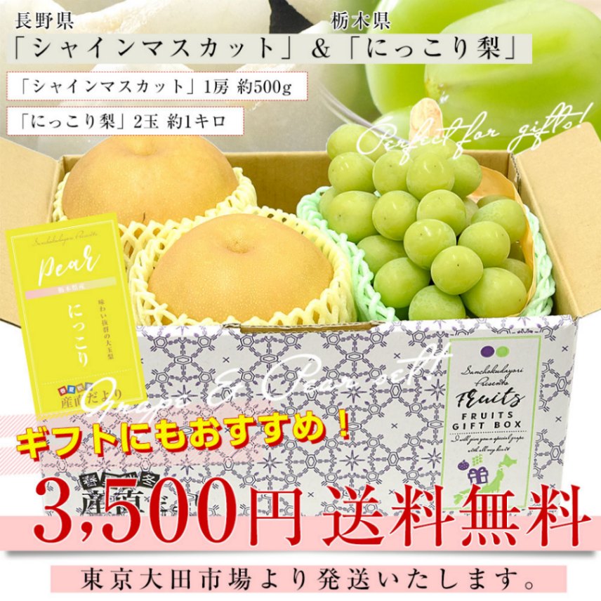 長野県 「シャインマスカット」 1房(約500g)＆栃木県 「にっこり梨」 2