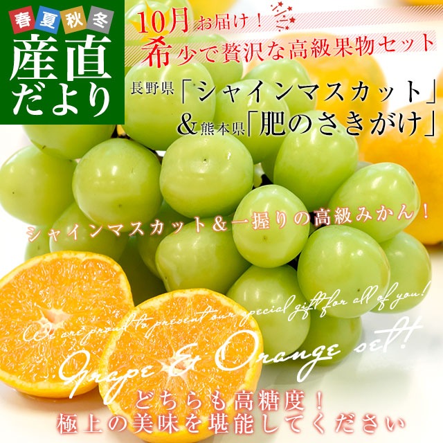 Ĺ ֥㥤ޥåȡ 1˼(500g)ܸ JA̼ܲϢ ֥ɤߤΤS 1.5 å ̵ ֤ɤ ߤ