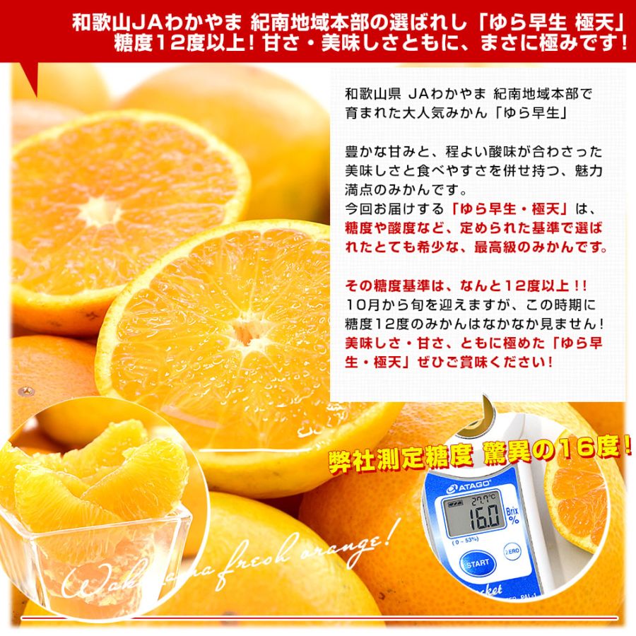 和歌山県 JAわかやま 紀南地域本部 糖度12度以上厳選「ゆら早生」等級