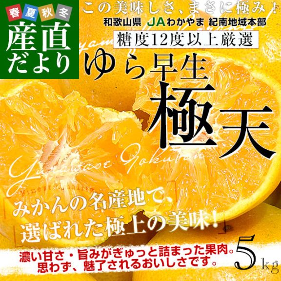 和歌山県 JAわかやま 紀南地域本部 糖度12度以上厳選「ゆら早生」等級