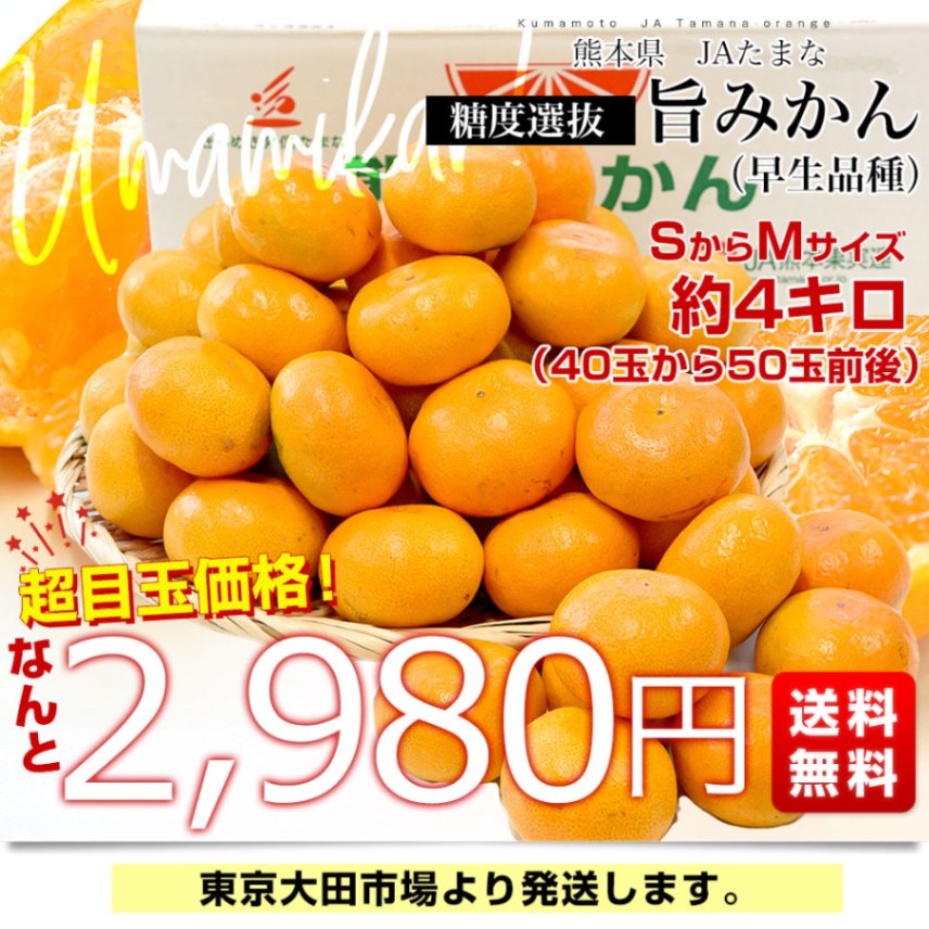 熊本県 JAたまな 糖度選抜 旨みかん(早生品種) 約4キロ SからMサイズ