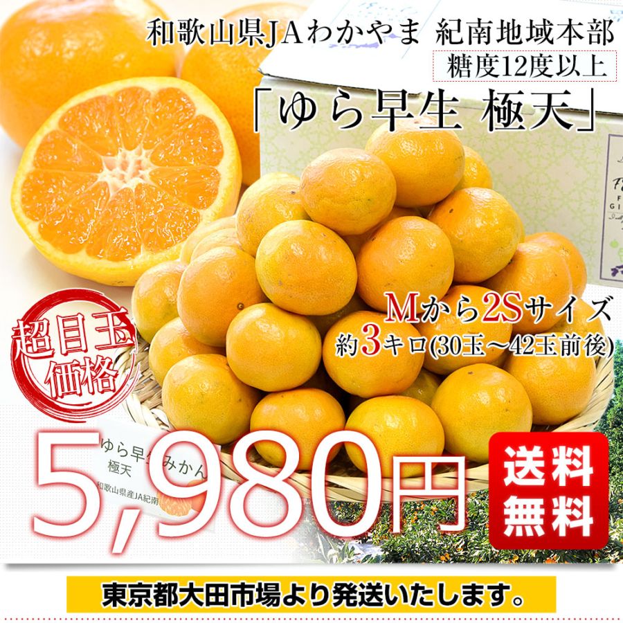 和歌山県 JAわかやま 紀南地域本部 糖度12度以上厳選「ゆら早生」等級
