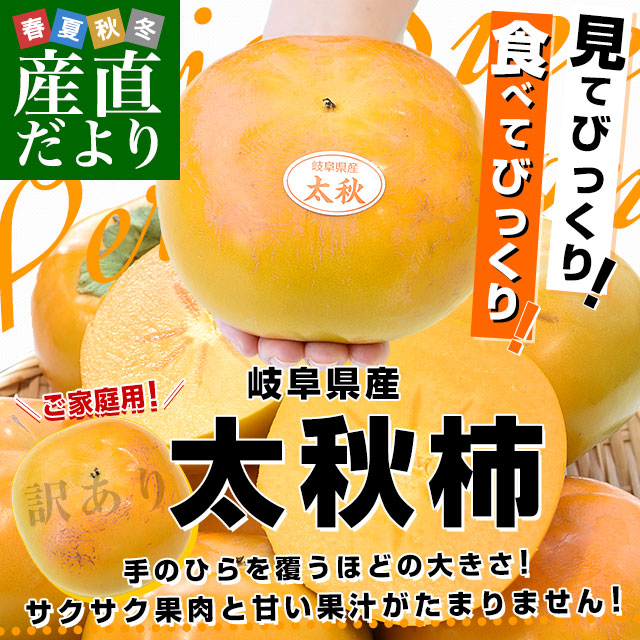 岐阜県 JAいび川 ご家庭用訳あり 太秋柿(たいしゅうかき) 3.5キロ前後