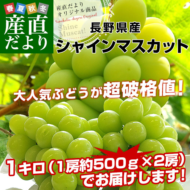 Ĺ 㥤ޥåȡ12˼̵ ֤ɤ ֥ɥ ʤ֤ɤԾȯ