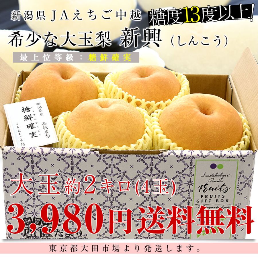 新潟県産 JAえちご中越 糖度13度以上 大玉梨 新興 「最上位等級：糖鮮