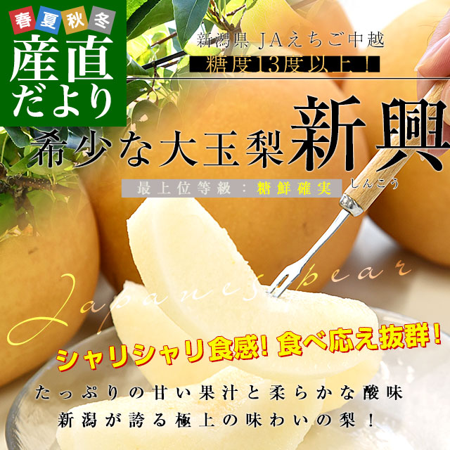 梨 新王 しんおう 優品 16〜40玉 10kg 新潟県産 なし ナシ