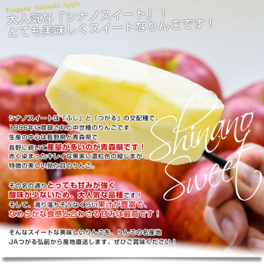 青森県より産地直送 JAつがる弘前 シナノスイート 約3キロ (9玉から13